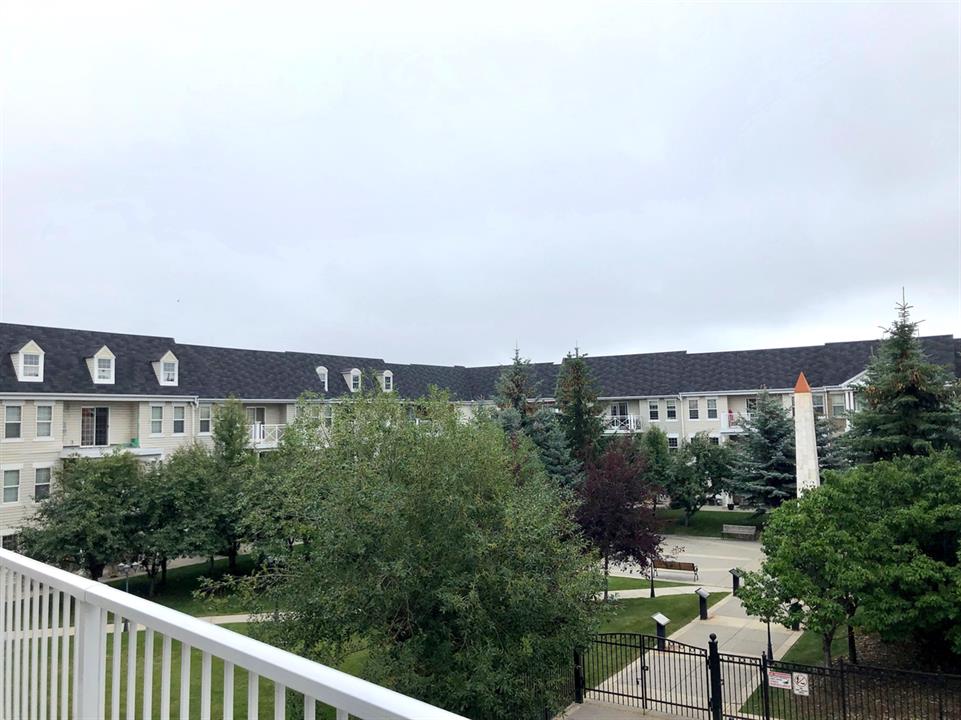 Social Room Views
